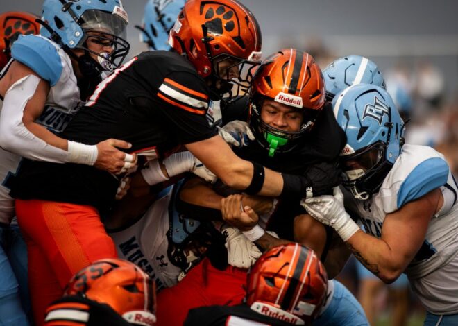 Braket kejuaraan sepak bola negara bagian CHSAA 2025, hasil